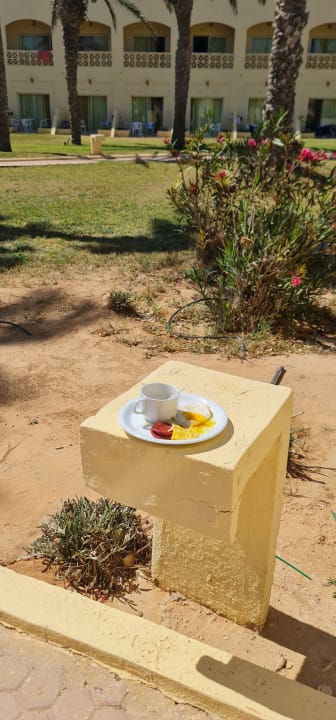 Gartenanlage Zephir Hotel & Spa