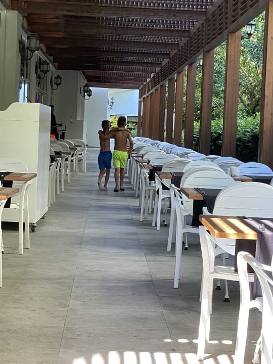 Gastro Well Palace Side