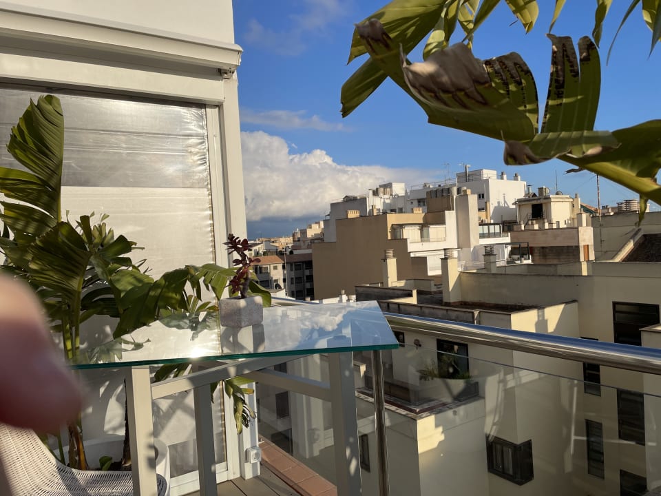 Ausblick INNSiDE by Meliá Palma Center