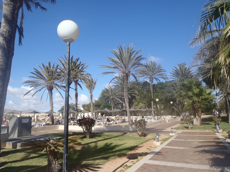 Gartenanlage Hotel Riu Oliva Beach - Hotel