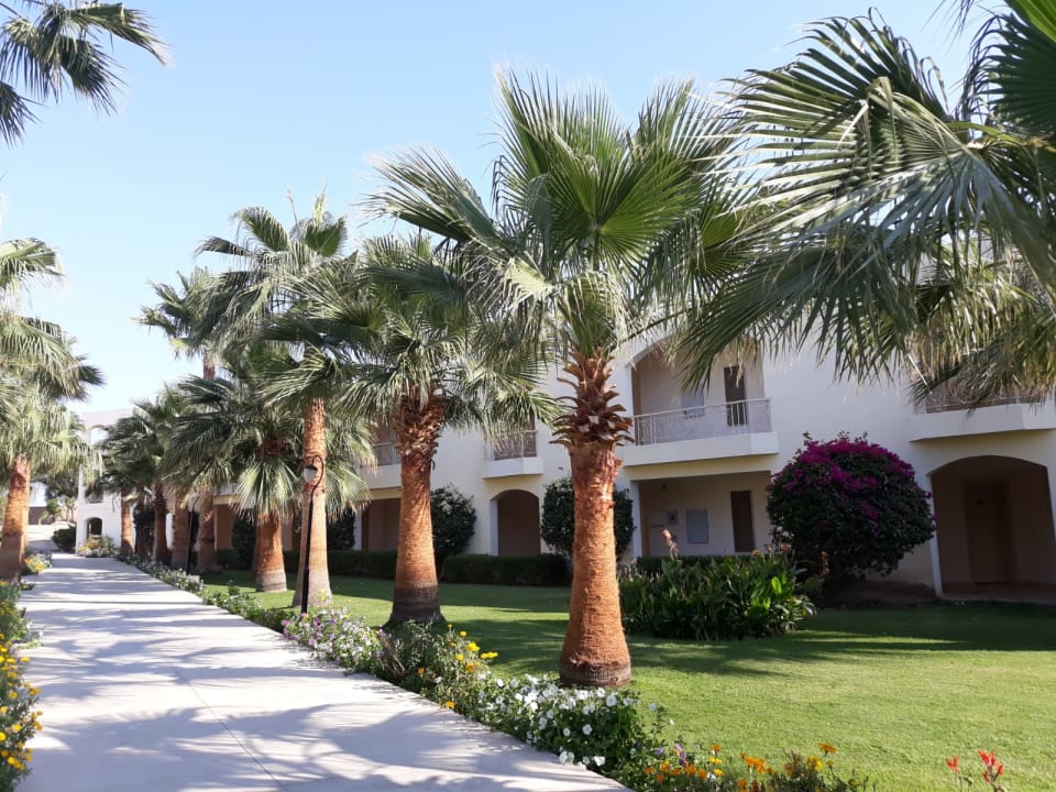 Gartenanlage Brayka Bay Resort