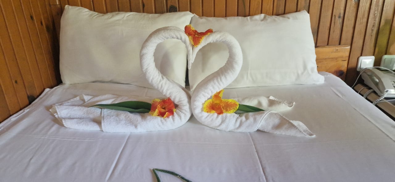 Zimmer Clover Magic Nova Beach