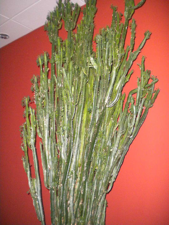 Aquaworld Aquaworld Resort Budapest