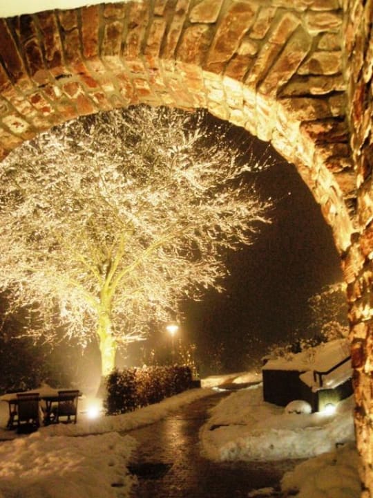 Weihnachten Marienhöh