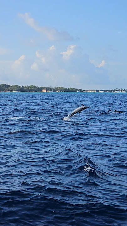 Sport & Freizeit Adaaran Select Hudhuran Fushi - Premium All Inclusive