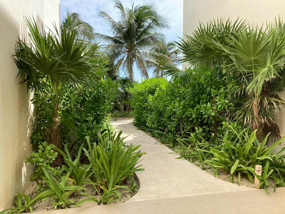 Gartenanlage Akumal Bay Beach & Wellness Resort