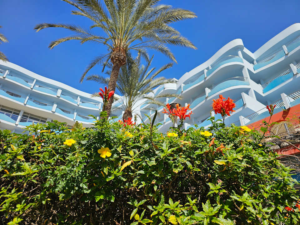 Gartenanlage R2 Pajara Beach