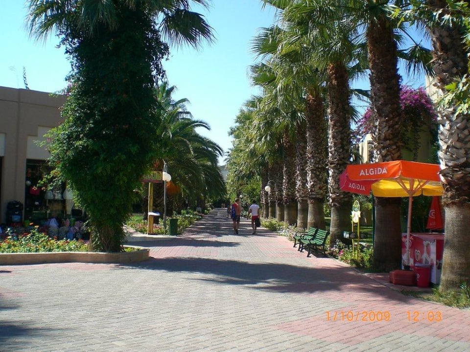 Palmenweg VONRESORT Golden Beach