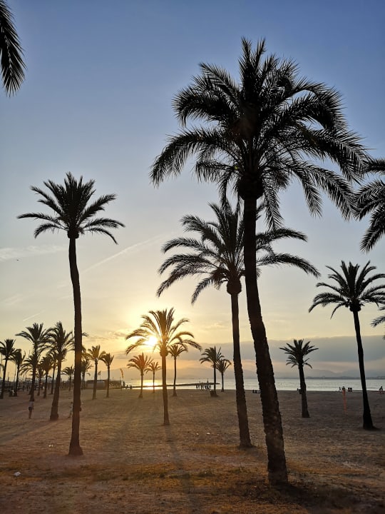 Strand allsun Hotel Marena Beach