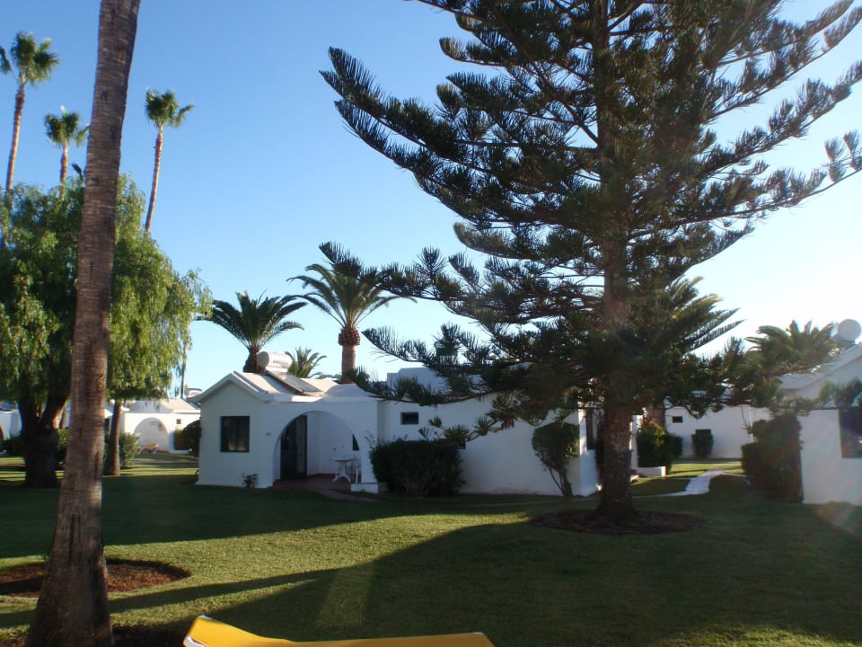 Ruhe und Erholung satt Canary Garden Club