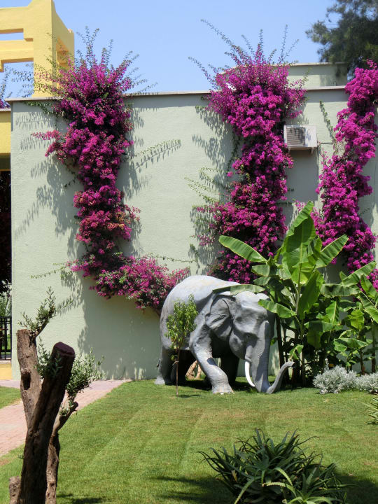 Gartenanlage VONRESORT Golden Beach