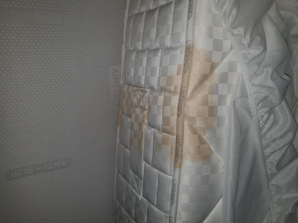 Zimmer Royal Seginus