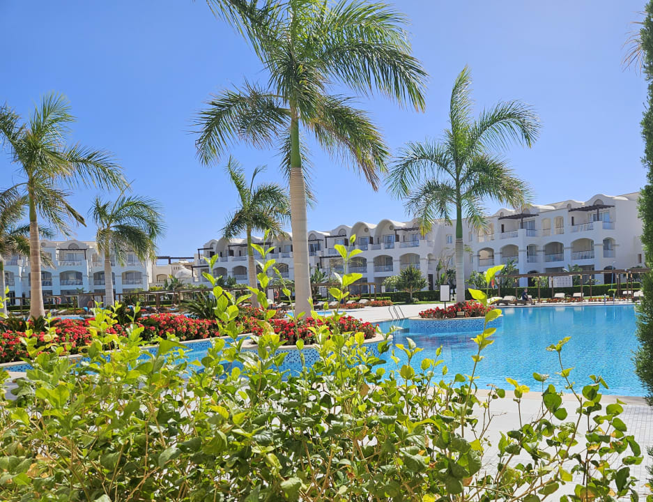 Pool Steigenberger Resort Alaya Marsa Alam - Red Sea - Adults only