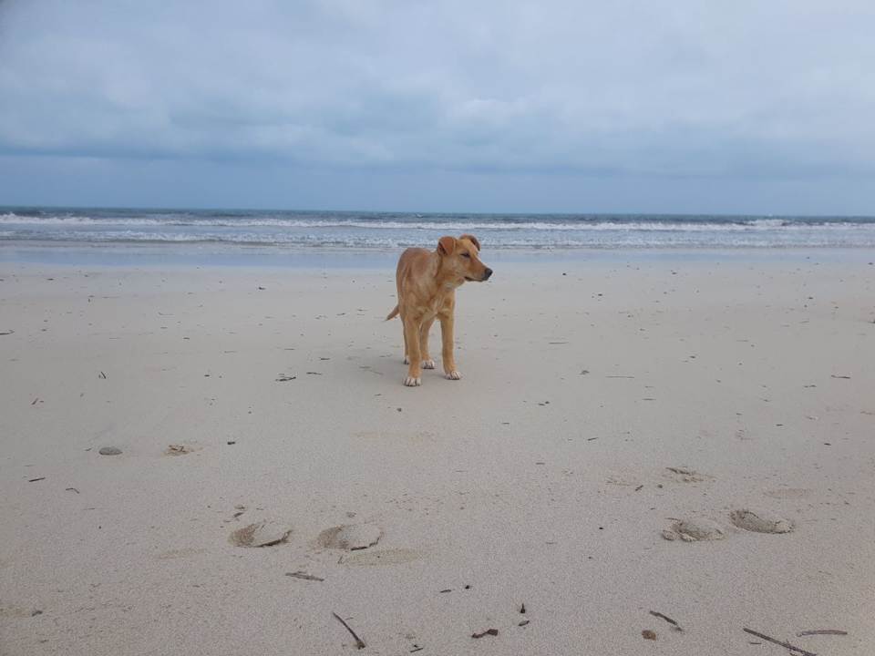 Strand Iberostar Waves Mehari Djerba