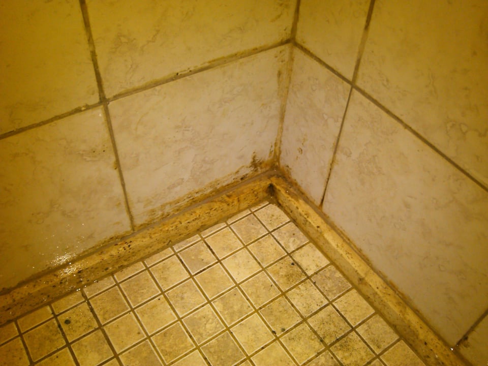 Dusche Atlantique Holiday Club