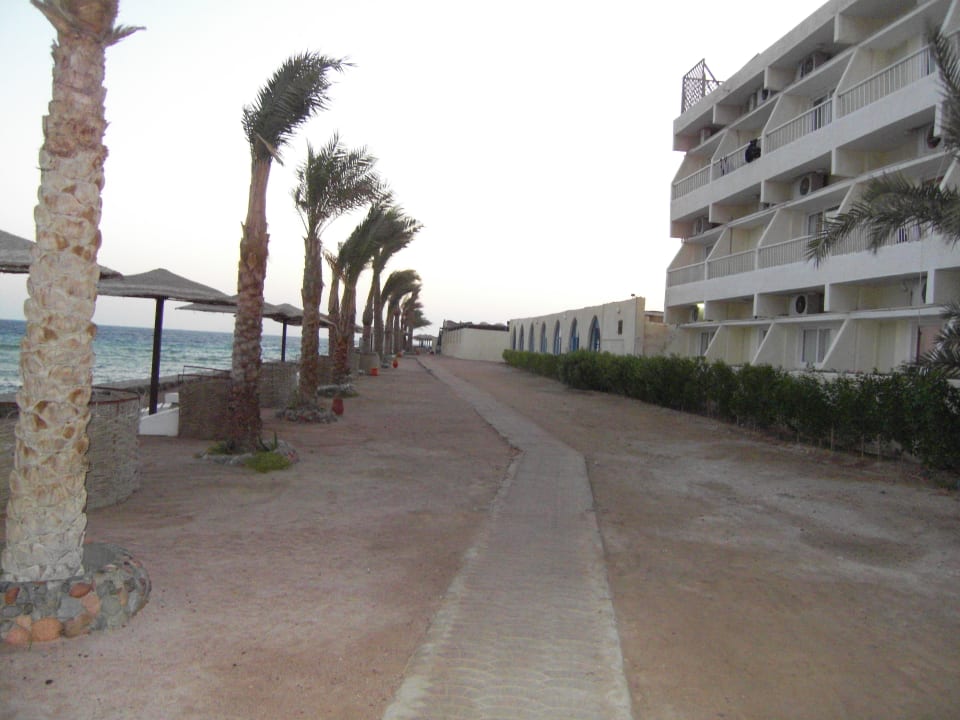 Der Weg zum  ,,super" Strand !!! Royal Star Beach Resort