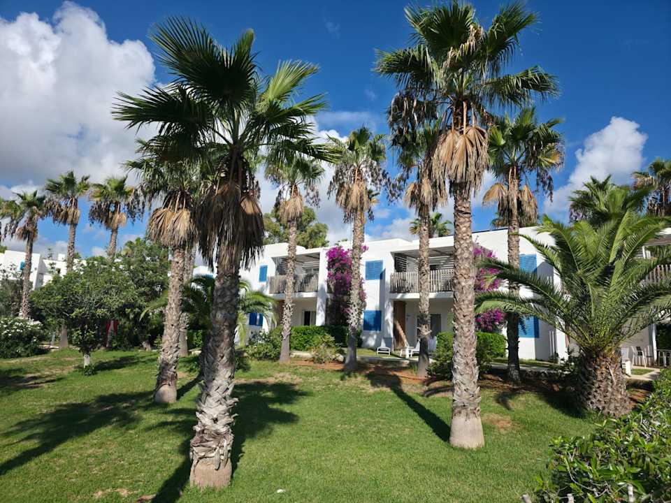 Außenansicht Cala Llenya Resort Ibiza