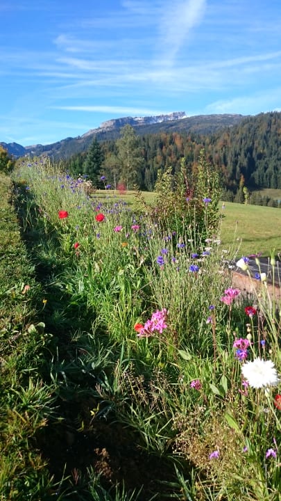 Ausblick Gästehaus Boersch