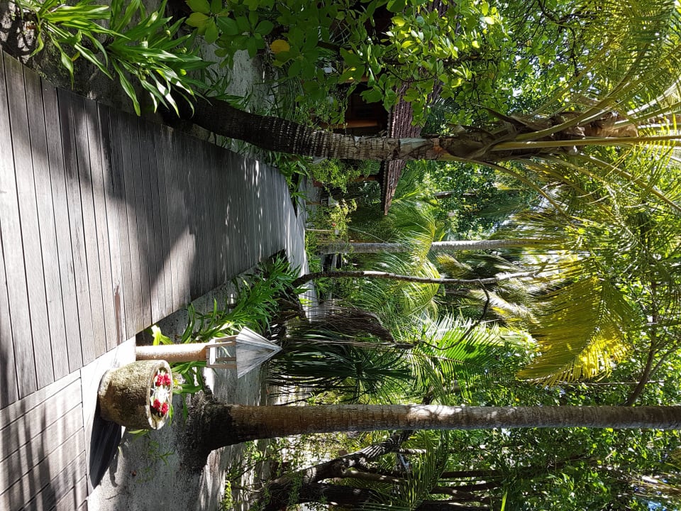 Gangehi Island Resort Gangehi Island Resort