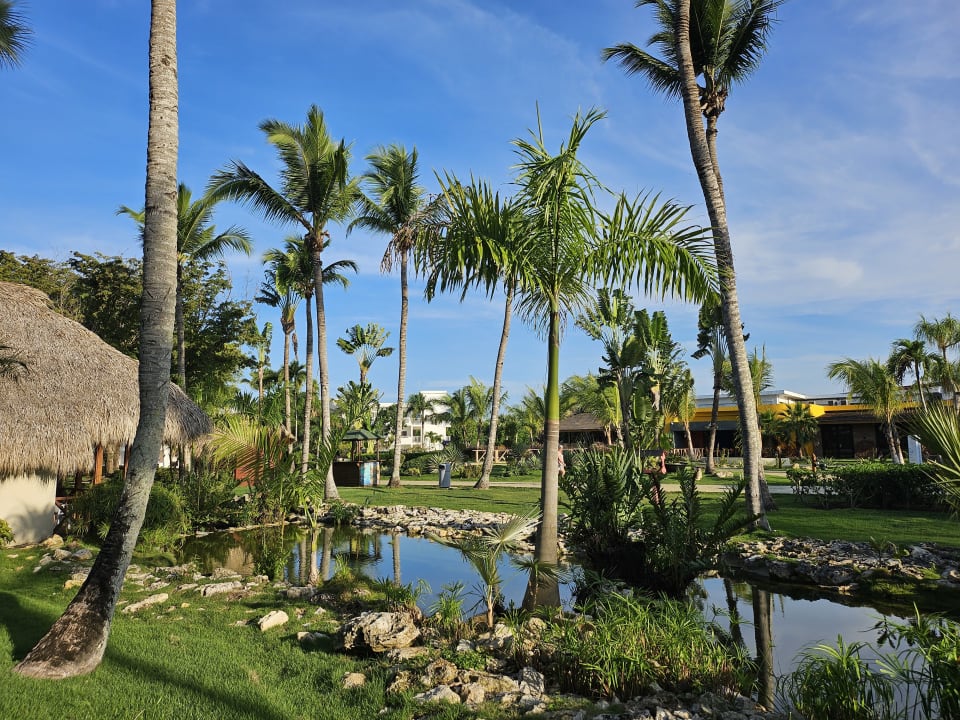 Gartenanlage Sunscape Dominicus La Romana