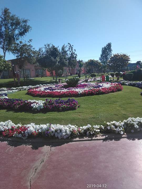 Gartenanlage Pickalbatros Jungle Aqua Park Resort - Neverland Hurghada