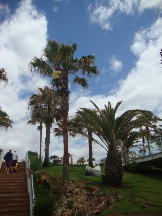 Gärtner bei der Arbeit Hotel Riu Gran Canaria