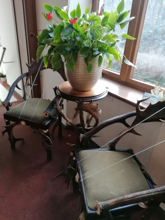 Sonstiges Hotel Jagdschloss Letzlingen