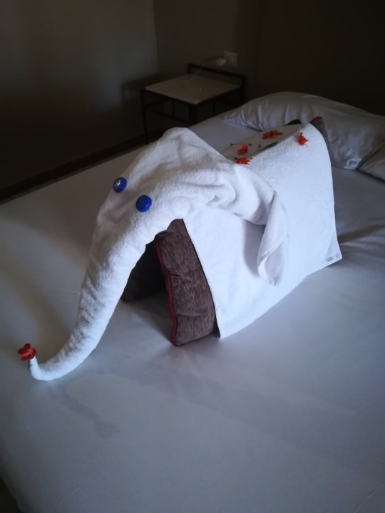 Zimmer Jaz Makadi Oasis Resort