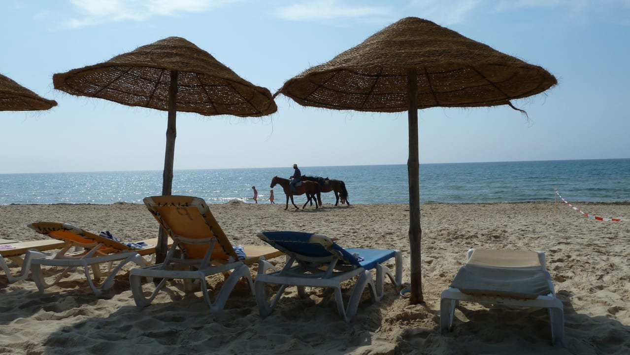  Strand Hotel Paradis Palace