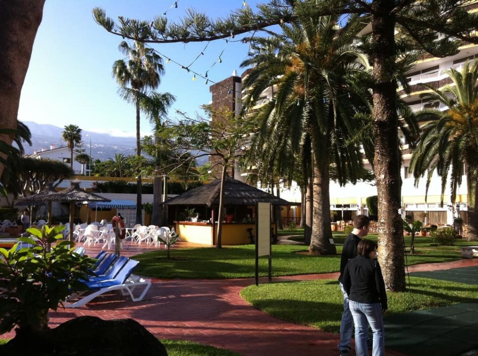 Im Garten vom Bonanza BLUESEA Complejo Puerto Resort (Canarife y Bonanza Palace))