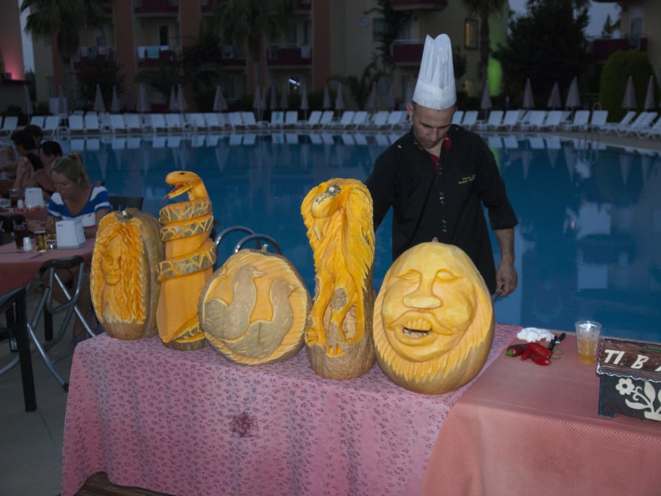 Der Chefkoch und seine Kunst Hotel Orfeus Park