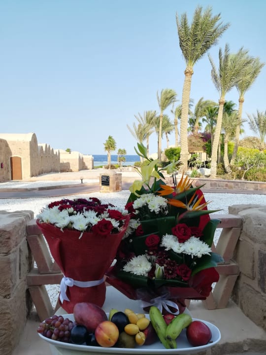 Sonstiges Mövenpick Resort El Quseir