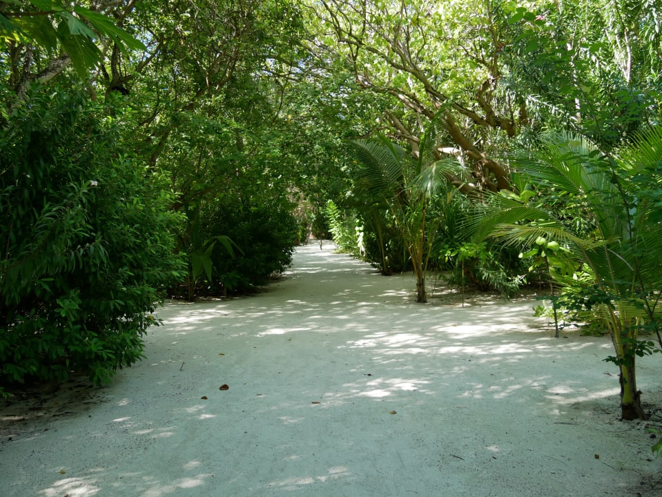 Gartenanlage Summer Island Maldives