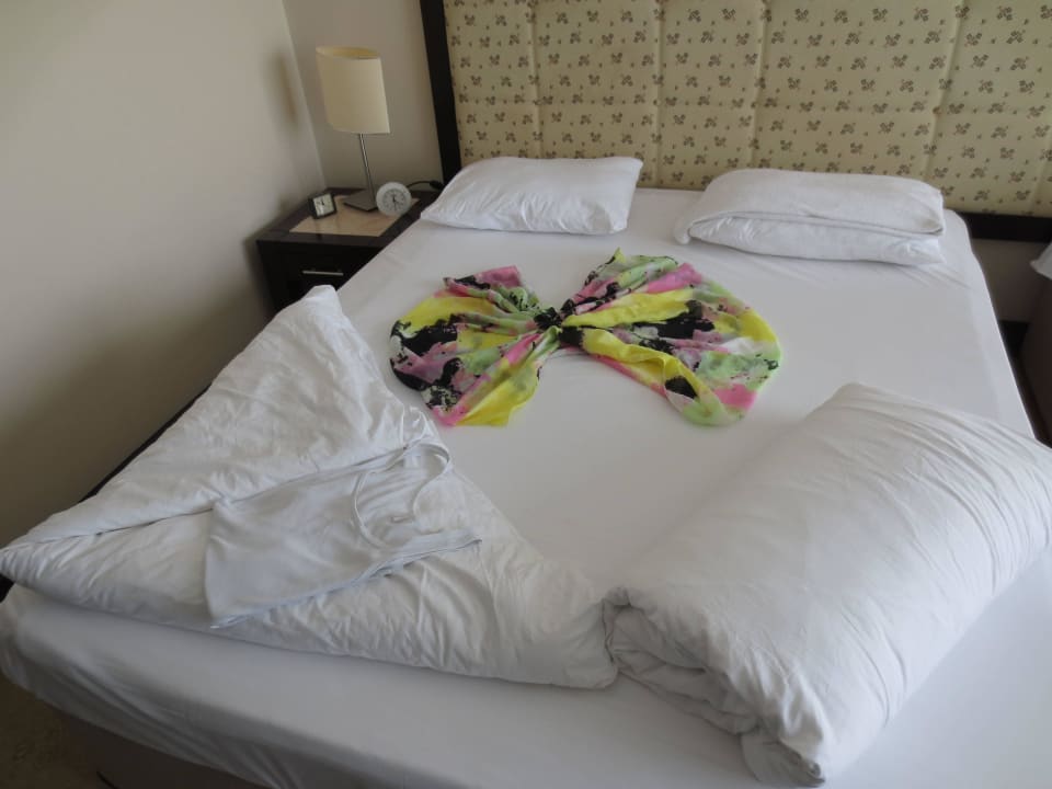 Zimmer 222 Asteria Collection Side