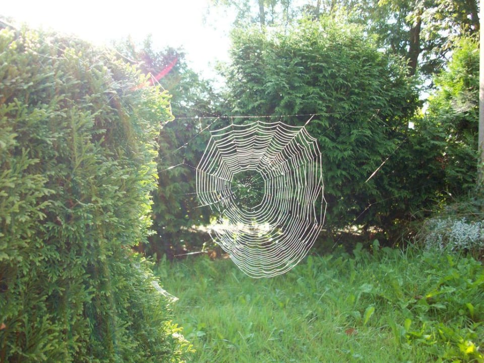 Garten Pension Kfely Mühle