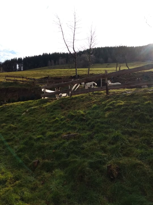 Ausblick Bauernhof Bernhardenhof