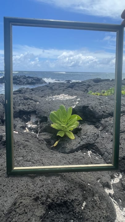 Ausblick Radisson Blu Poste Lafayette Resort & Spa - Adults only