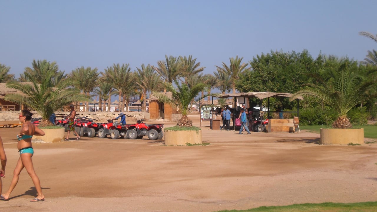 Quad fahrn, Pferde reiten, Kamel reiten Stella Beach Resort & Spa Makadi Bay