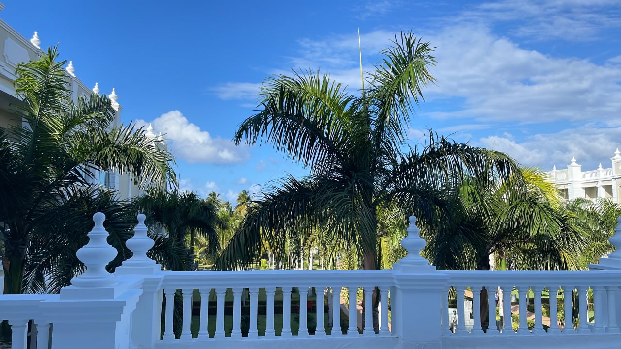 Ausblick Hotel Riu Palace Bavaro