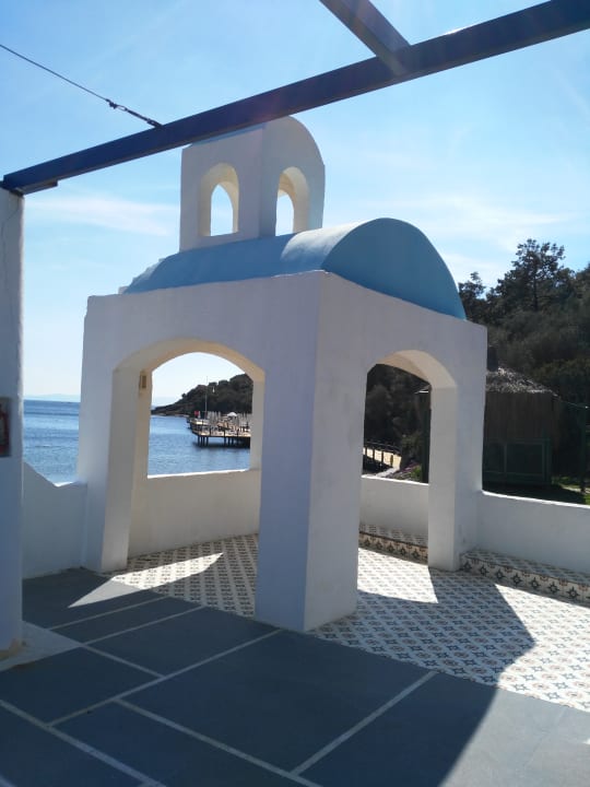 Sonstiges Paloma Pasha