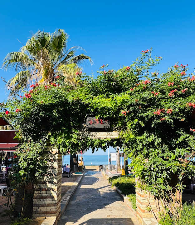 Gartenanlage Trendy Palm Beach (Adults Only, 16+)