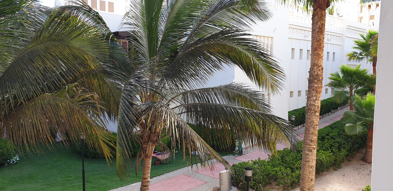 Gartenanlage Hotel Riu Karamboa