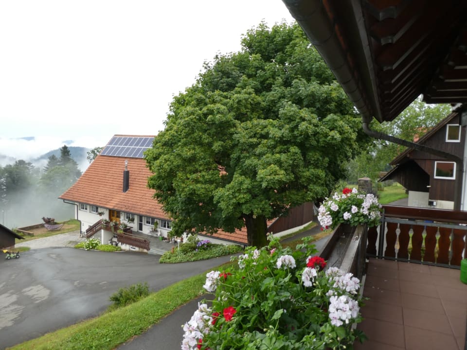 Ausblick Bio-Bauernhof Simonshof in Schiltach