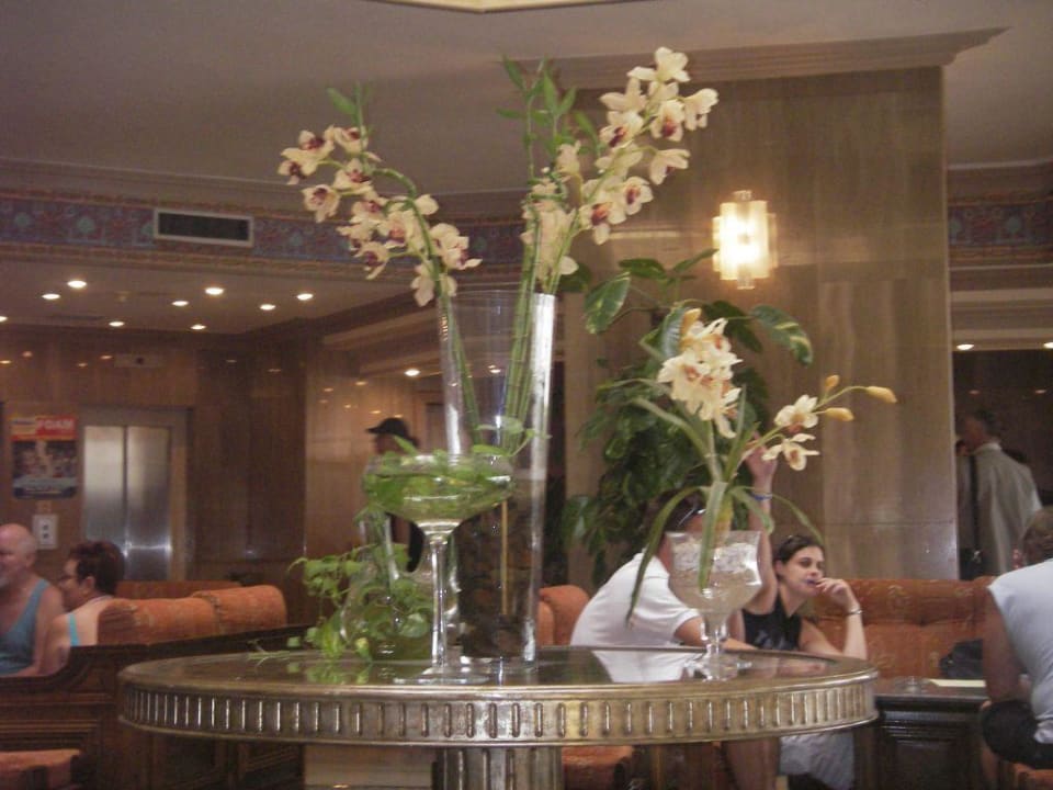 Warteraum Beach Albatros Resort