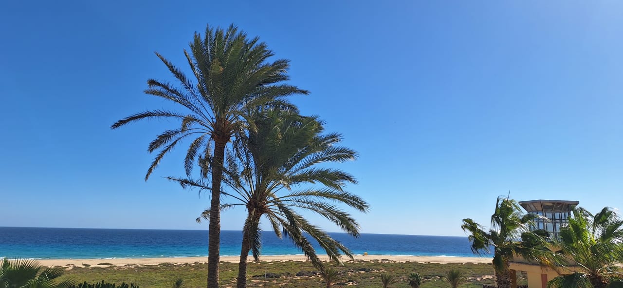 Ausblick Occidental Jandía Playa