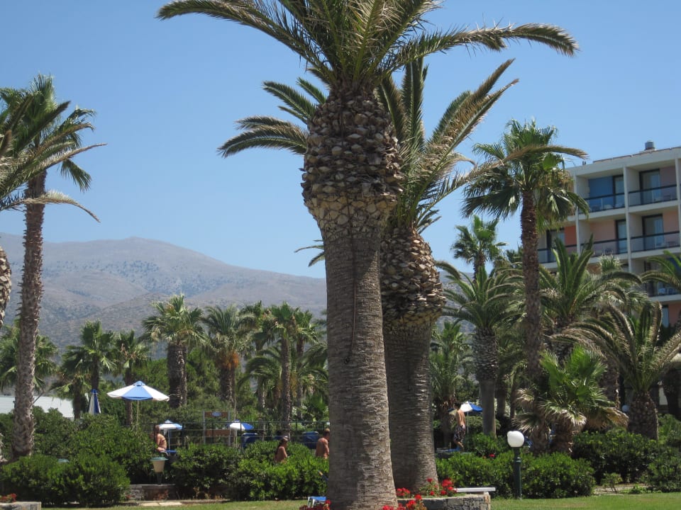 Garten Calimera Sirens Beach
