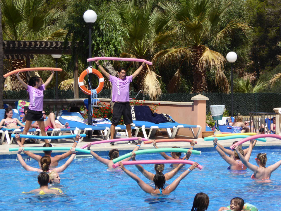 Animationsprogramm Globales Maioris