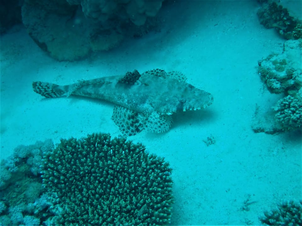 Sport & Freizeit Brayka Bay Resort