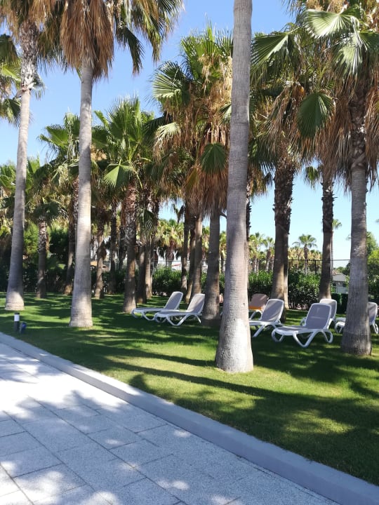 Gartenanlage Hotel Miramare Beach