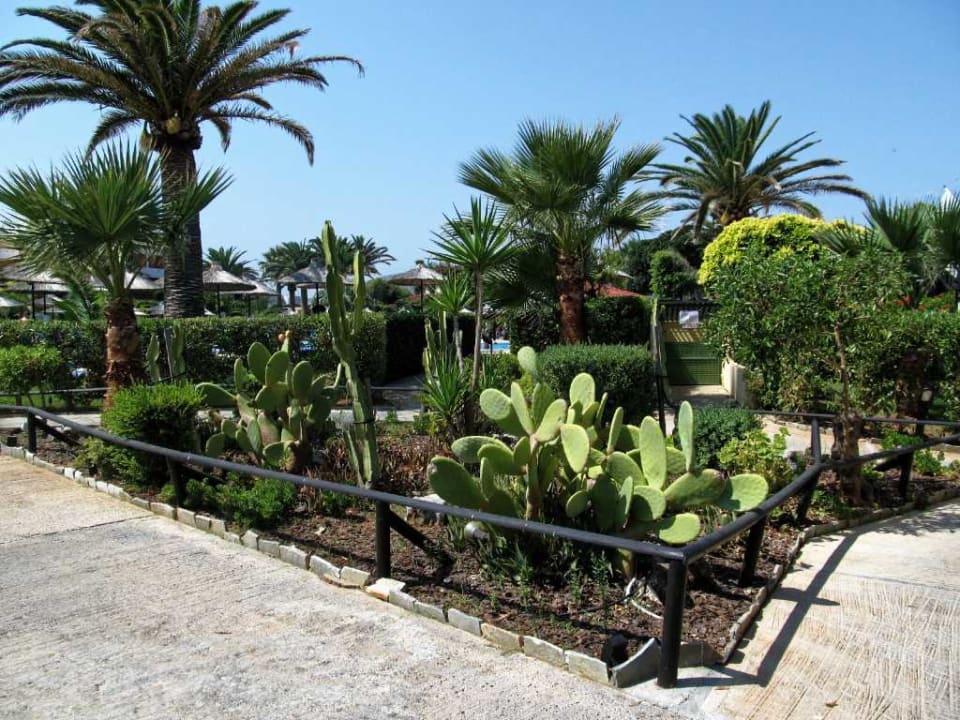 Gartenanlage Anissa Beach & Village